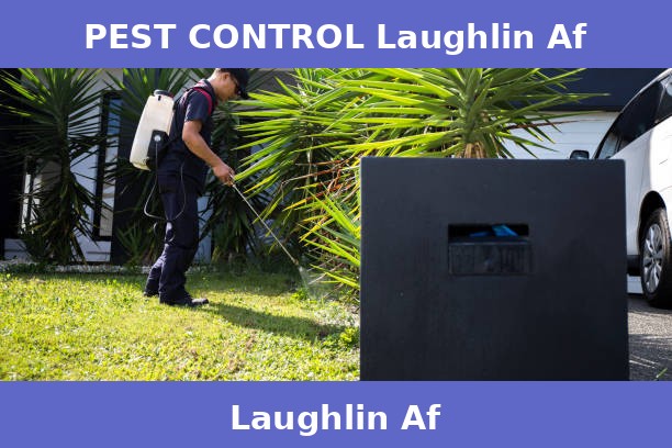 PEST CONTROL Laughlin Af